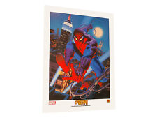 Spider-Man Lithograph by Greg & Tim Hildebrandt Marvel Comics 2002 picture