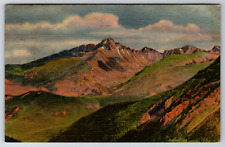 c1910s Longs Peak Forest Canyon Colorado Rocky Mountain Park Vintage Postcard picture