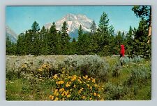 Grand Teton National Park WY, Mt Moran, Wyoming Vintage Postcard picture