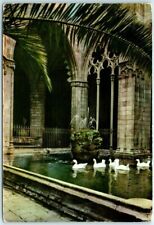 Postcard - Cloister and ducks - Barcelona Cathedral - Barcelona, Spain picture