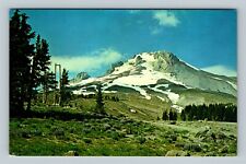 Mt Hood OR, View From Timberline Lodge, Oregon Vintage Postcard picture