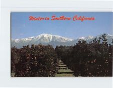 Postcard Winter in Southern California USA picture