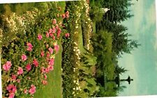 Vintage Postcard- GARDEN Early 1900s picture