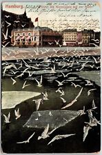 1910's Hamburg Moven Als Wintergaste Auf Der Rister Seagulls Posted Postcard picture