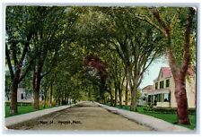 1915 Main Street Dirt Road Lined Trees Hyannis Massachusetts MA Antique Postcard picture
