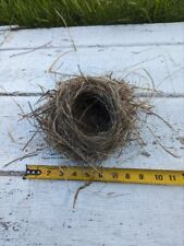 Real Bird Nest Genuine Robin Nest Abandoned Home Decor Taxidermy Natural History picture
