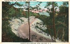 b/w Williamstown, MA & Troy, NY, Taconic Trail, Linen Vintage Postcard e854 picture