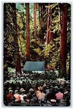 c1910's Concert In Bohemian Grove Orchestra Russian River California CA Postcard picture