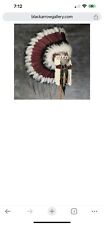 Buffalo Hogan Native American Indian Najavo Sacred War bonnet Headdress picture