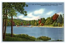 Postcard Lake & Bathers at Cumberland Mt State Park TN linen unused W28 picture