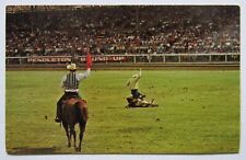 Pendleton Oregon Bulldogging Rodeo Round Up Postcard Chrome picture