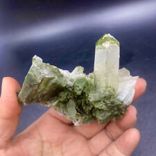 165G Rare TOP Natural Clear Green Phantom Ghost Garden Quartz Crystal specimen picture