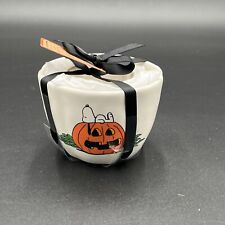 2023 Rae Dunn Peanuts Snoopy Halloween Measuring Cups Set of 4 Brand New picture