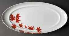 Mikasa Pure Red Oval Serving Platter 5793368 picture
