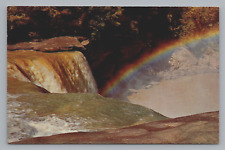 Postcard Kentucky Corbin Cumberland Falls State Park  Chrome D294 picture