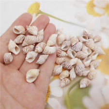 60 pcs Tiny Spiral Shells Natural Seashells For Crafts Nautical Art Decor 1-2 cm picture