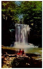Vintage 1960's? Harrison Wright Falls Rickets Glen State Park PCB-4F picture
