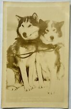 Chinook Kennels. Wonalancet, New Hampshire Sled Dogs. Real Photo Postcard. RPPC picture