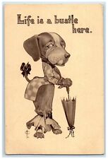 1911 Anthropomorphic Hound Dog Life Is A Bustle Here Brookings SD Postcard picture