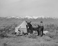Basque Sheepherder & Burro Photograph Camp Douglas County Nevada 1940 8X10 Print picture