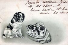 Dog And Three Puppies In Satchel 1901 Postcard - udb picture