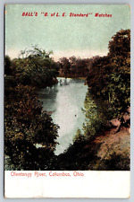 Vintage Postcard OH Columbus Olentangy River 1908 -*5881 picture