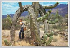 Phoenix Arizona, Saguaro Cactus, Photographer, Vintage Postcard picture