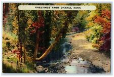1951 Greetings From Onamia Creek Pathway Grove Minnesota Correspondence Postcard picture