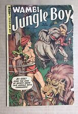 Wambi, Jungle Boy Comic #14 ~ Fiction House ~ Winter 1951-52 ~ Tarzan Like picture