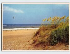Postcard Sea Oats And A Texas Surf Texas USA picture