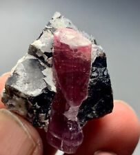 151Cts Terminated Pink Tourmaline Crystal Specimen from Afghanistan picture