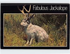 Postcard Fabulous Jackalope picture