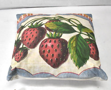 CTW Fresh Strawberries Decorative Throw Pillow Square 18
