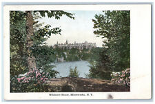1920 View from a Far Wildmere House Minnewaska New York NY Posted Postcard picture