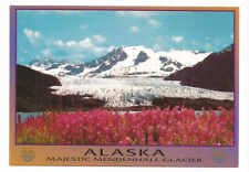 AK Postcard Alaska Mendenhall Glacier picture