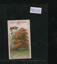 1911 Cadbury's Bournville British Trees - #3 Beech (401556) picture