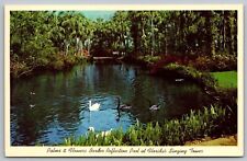 Lake Wales Florida Reflection Pool Mountain Lake Sancutary Swans Chrome Postcard picture