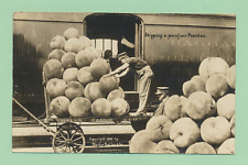 1911 MARTIN EXAGERATION RP PC GIANT PEACHES LOADING ON WELLS FARGO RAILROAD CAR picture