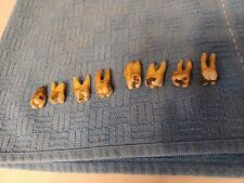 ANTIQUE REAL HUMAN TEETH 1920'S TO 1940S picture