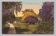 Postcard Grounds Kenilworth Lodge Sebring Florida Albertype Hand Colored c1937 picture