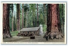 c1920 Cabin Mariposa Grove Exterior View Big Trees California Vintage Postcard picture