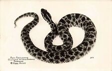 ANIMAL RPPC REAL PHOTO POSTCARD: VIEW OF PIGMY RATTLESNAK POISONOUS SNAKE picture