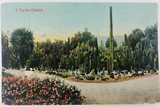 Vintage Los Angeles California CA A Cactus Garden Postcard  picture
