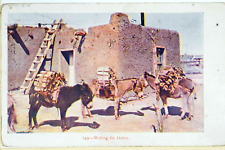 RPPC Pack Burros Waiting For Orders  Posted 749 picture