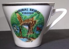 Vintage Natural Bridge Virginia State Park Souvenir Decorative Tea Cup Capsco picture