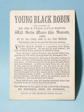1884 YOUNG BLACK ROBIN Pure Cart Horse SERVE MARES Advert LITTLE HABTON #HBW picture