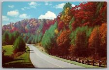 Greetings Oliverea New York Scenic Mountain Landscape Chrome Cancel WOB Postcard picture