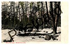 1907 Skidding Logs, Marshfield WI, horses & lumberjacks, Kropp postcard jj011 picture