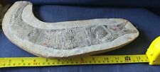 LARGE FISH FOSSIL  Incredibly Detailed  picture