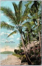 1923 HI-Hawaii, Coast Scene Hawaiian Island, Shores, Swaying Palms, Postcard picture